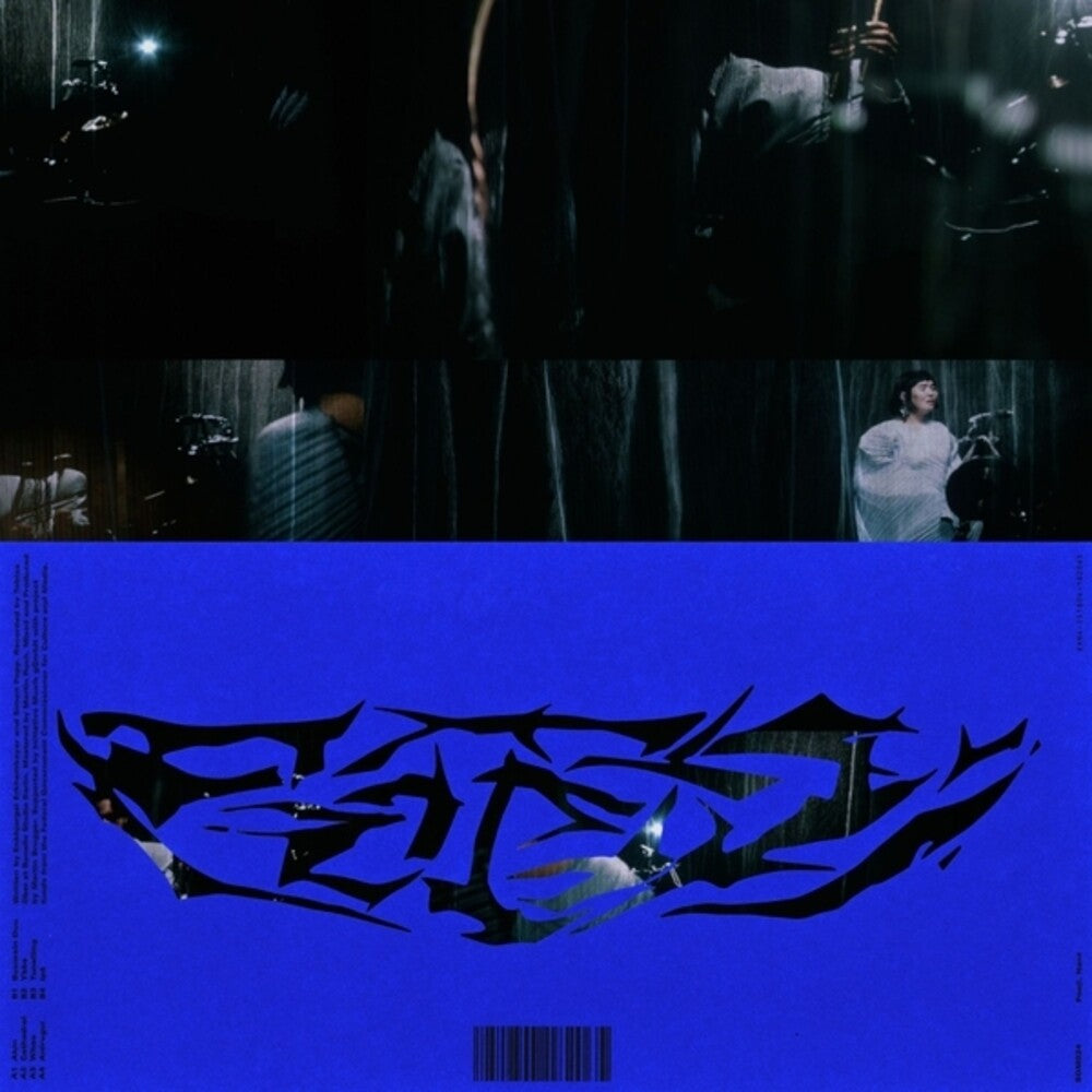 the album cover for Poeji - Nant