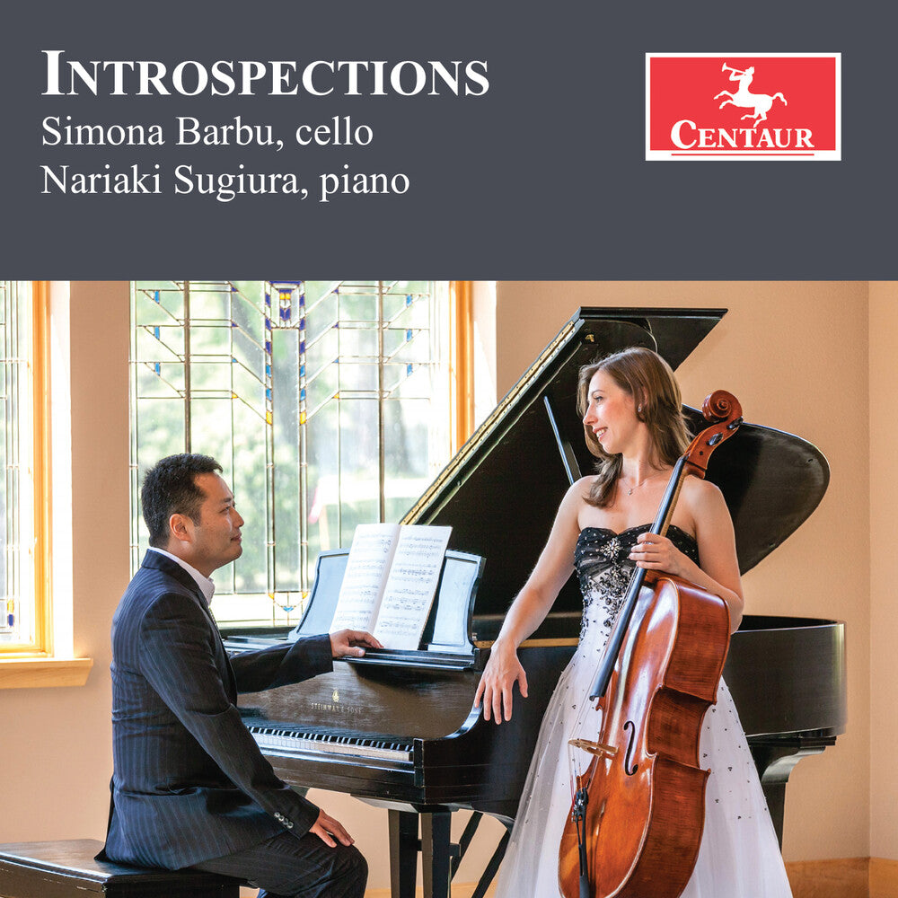 the album cover for Drago / Stark / Sugiura - Introspections