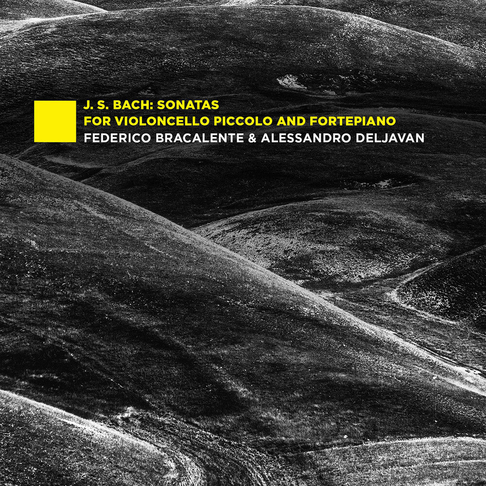 the album cover for J Bach .S. / Bracalente / Deljavan - Sonatas For Violoncello Piccolo & Fortepiano