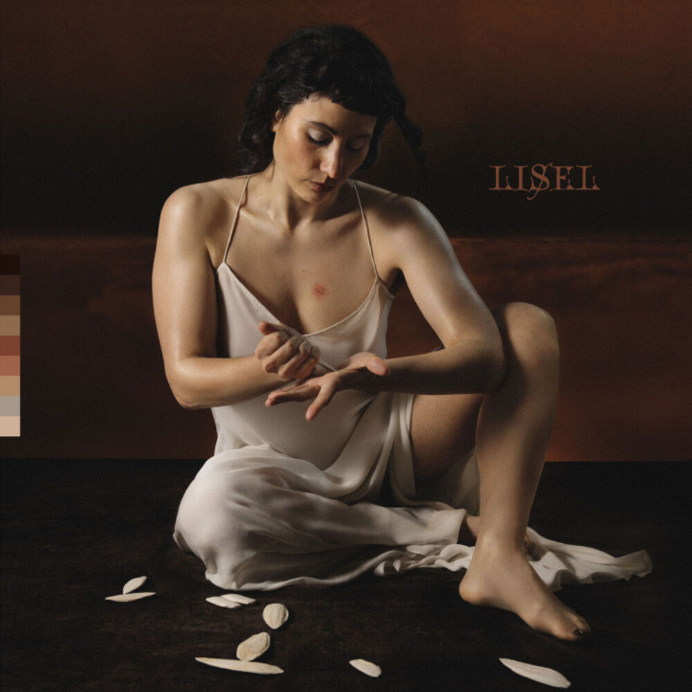 the album cover for Lisel - Vanishing Point