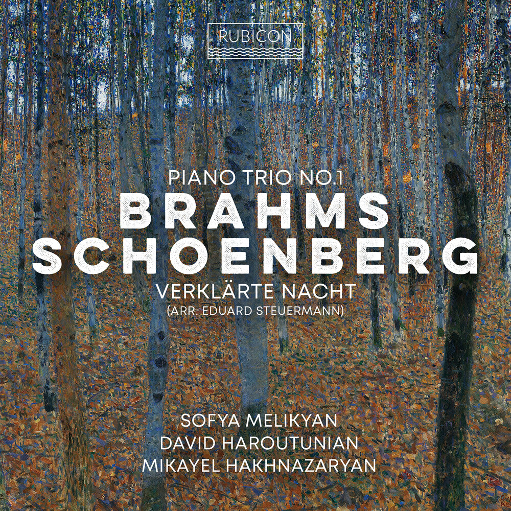 the album cover for Sofia Melikyan - Brahms: Piano Trio No.1 Schoenberg: Verklarte