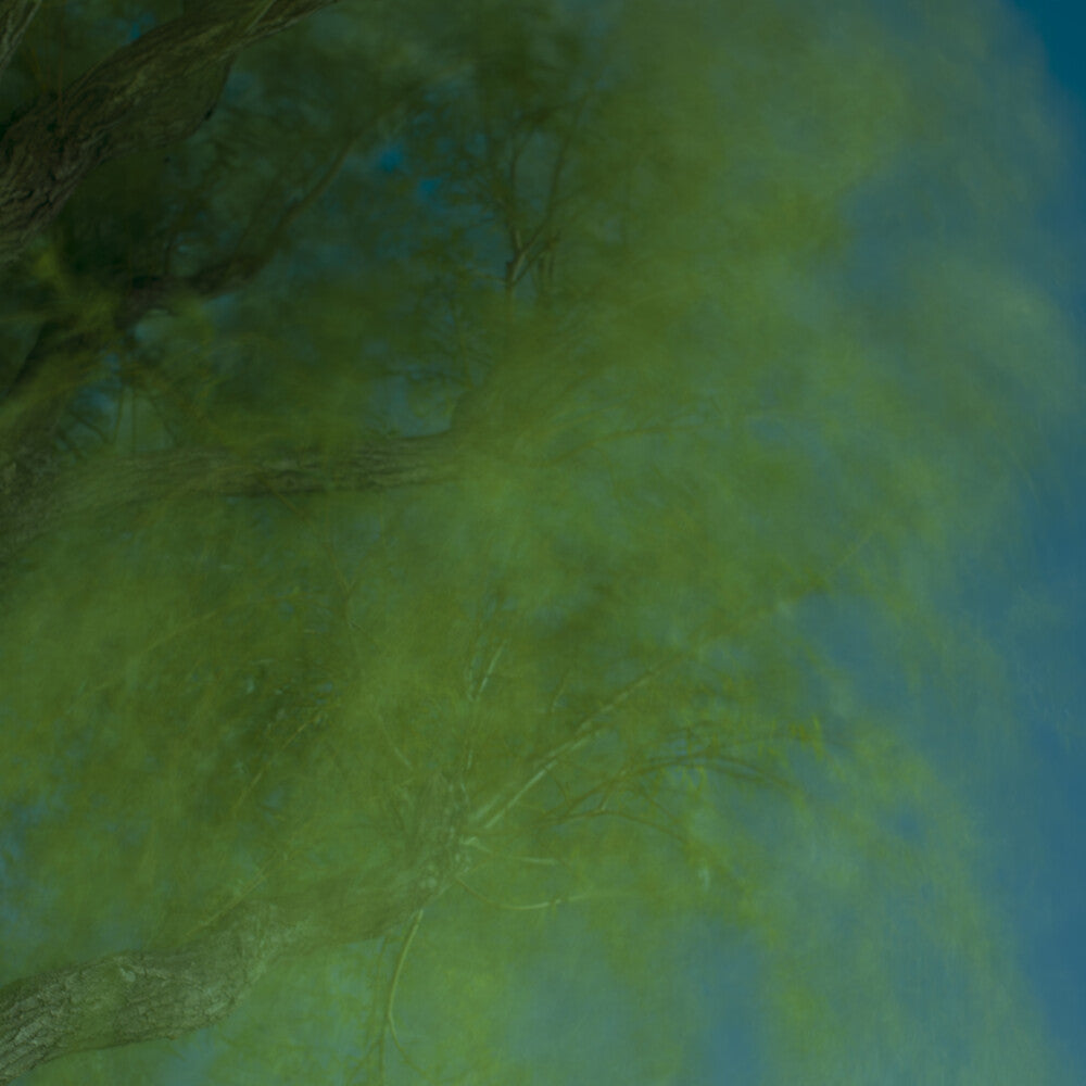 the album cover for Ebina, Hiroshi - Into The Darkness Of The Night