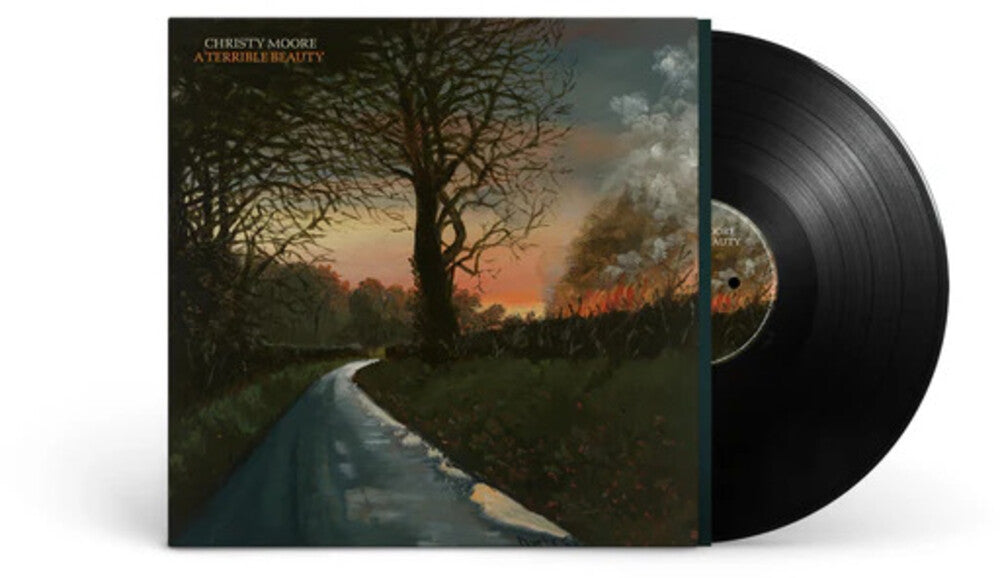 the album cover for Unknown Artist - Terrible Beauty