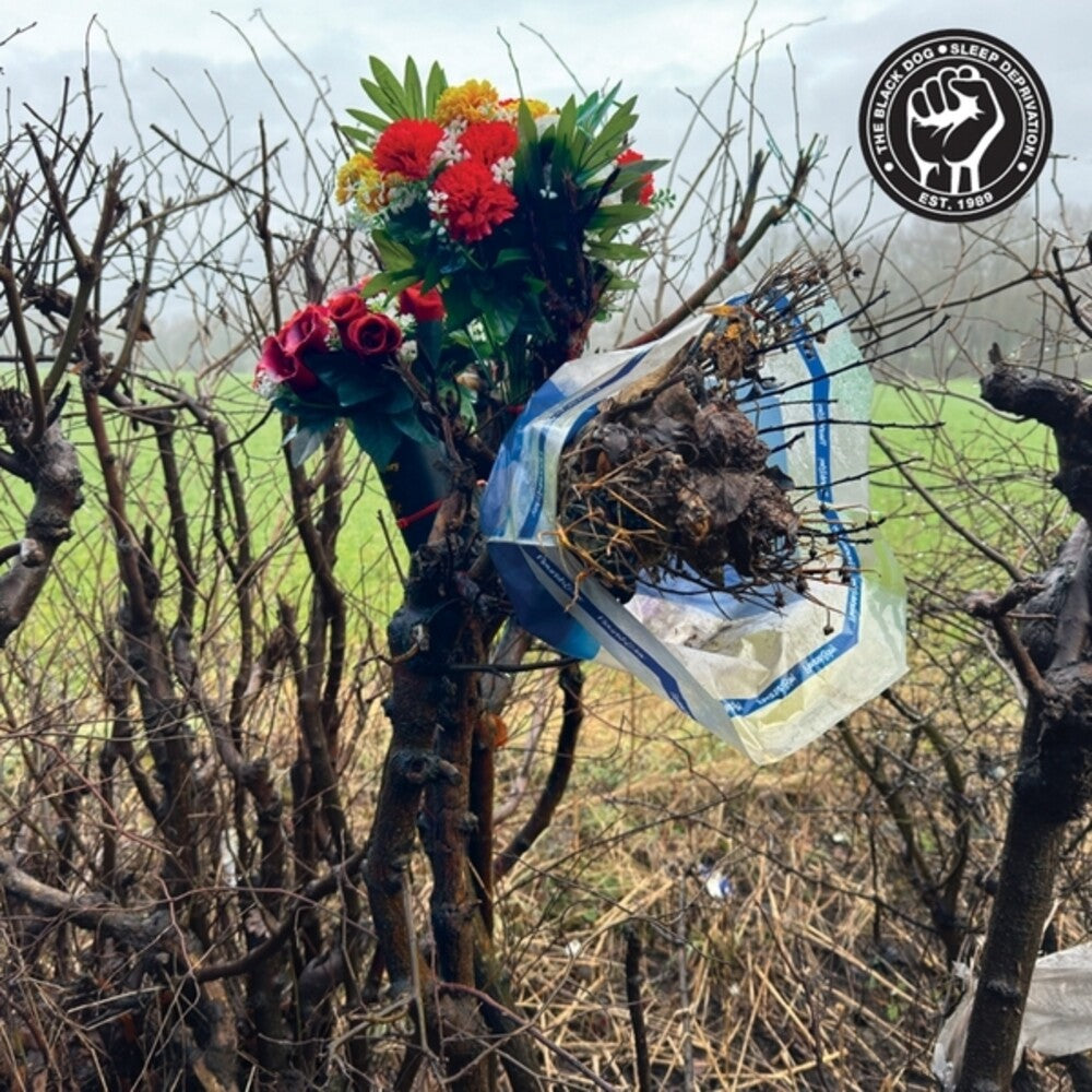 the album cover for Black Dog - Sleep Deprivation