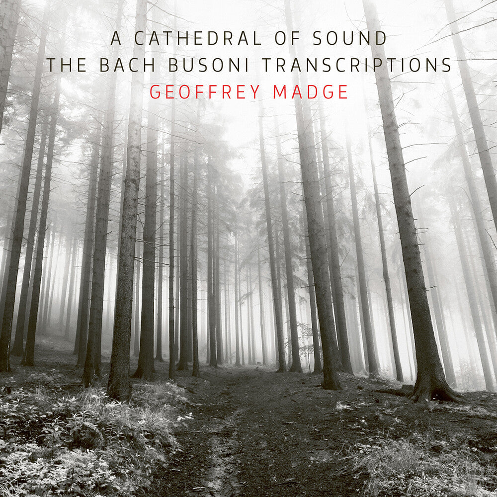 the album cover for J Bach .S. / Busoni / Madge - Cathedral Of Sound The Bach Busoni Transcriptions