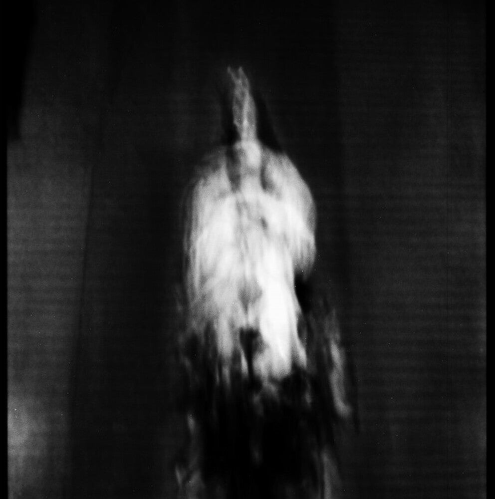 the album cover for Cigno - Morte E Pianto Rituale (Uk)