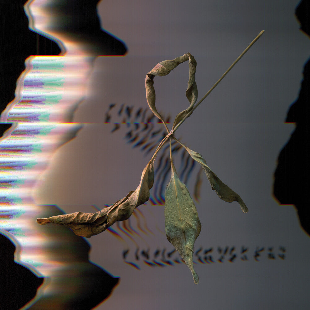 the album cover for T. Gowdy - Trill Scan