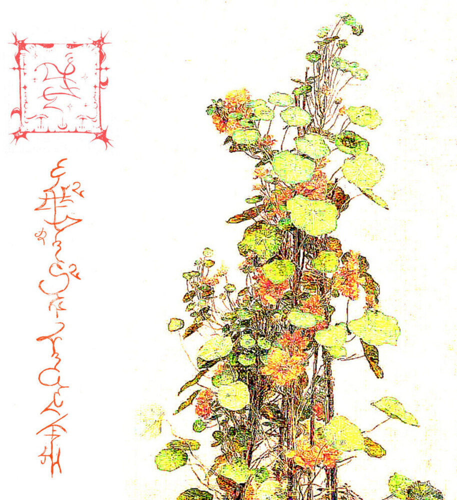 the album cover for Trha - Avelajntoef Hinnem Nihre