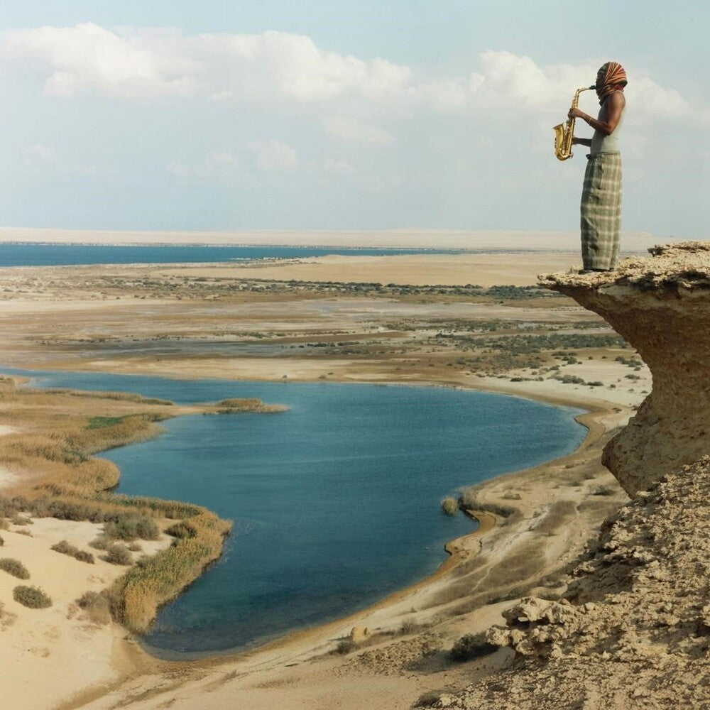 the album cover for Venna - Malik