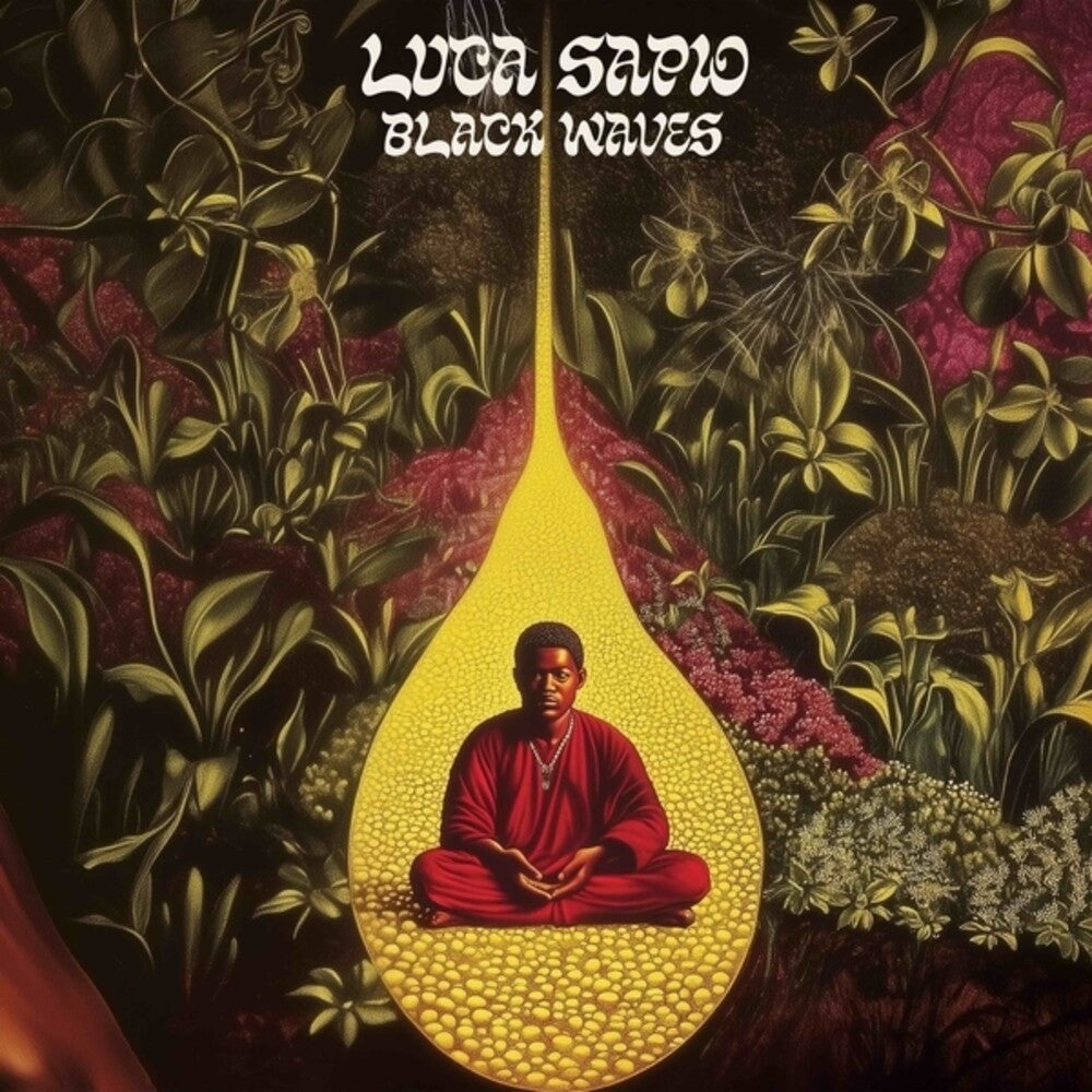 the album cover for Luca Sapio - Black Waves