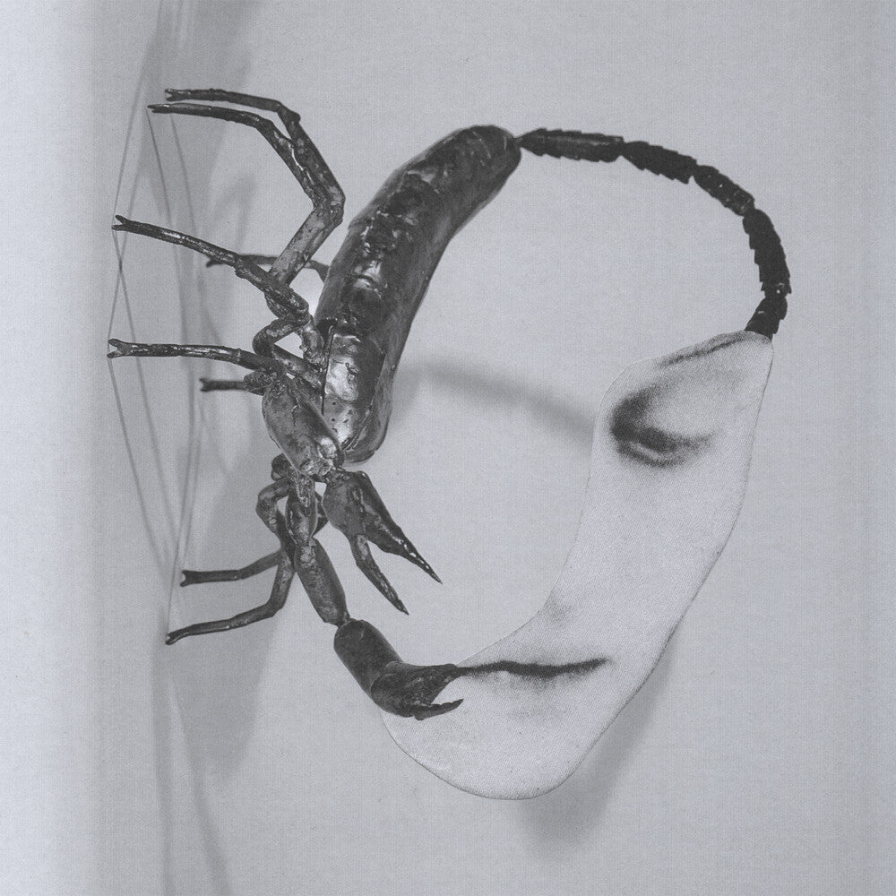 Pre-Order: Tortoise - Touch