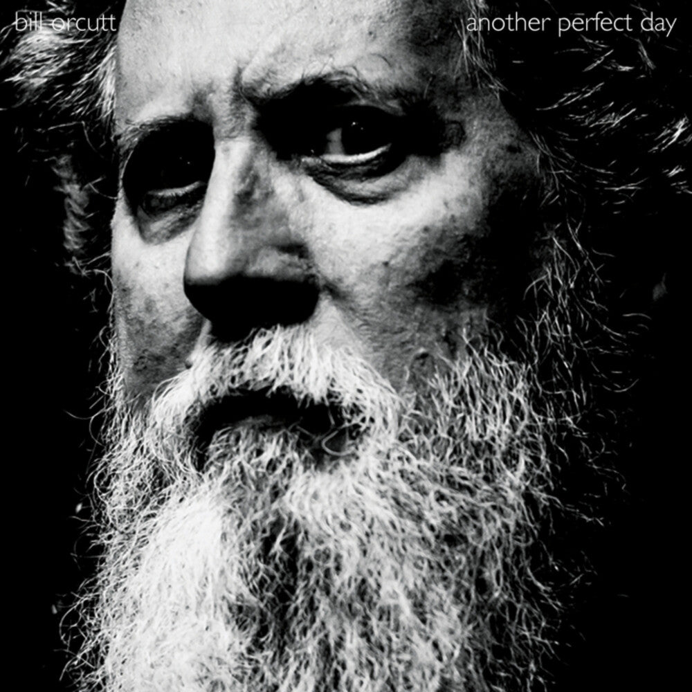 the album cover for Bill Orcutt - Another Perfect Day
