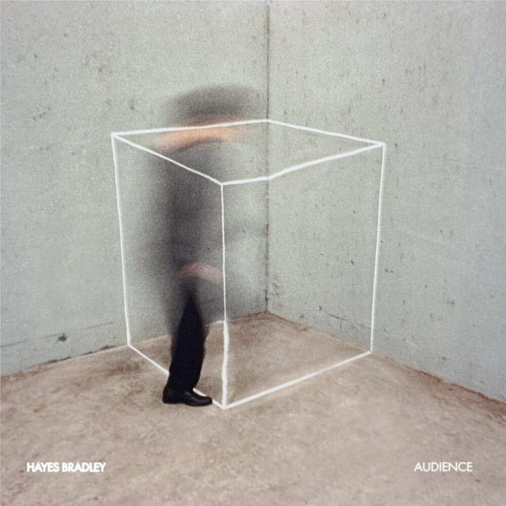 the album cover for Hayes Bradley - Audience