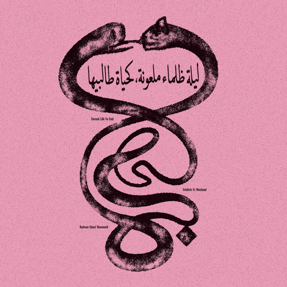 the album cover for Radwan Moumneh Ghazi / Oberland,Federic D. - Eternal Life No End