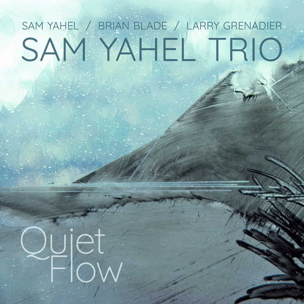 the album cover for Sam Yahel - Quiet Flow