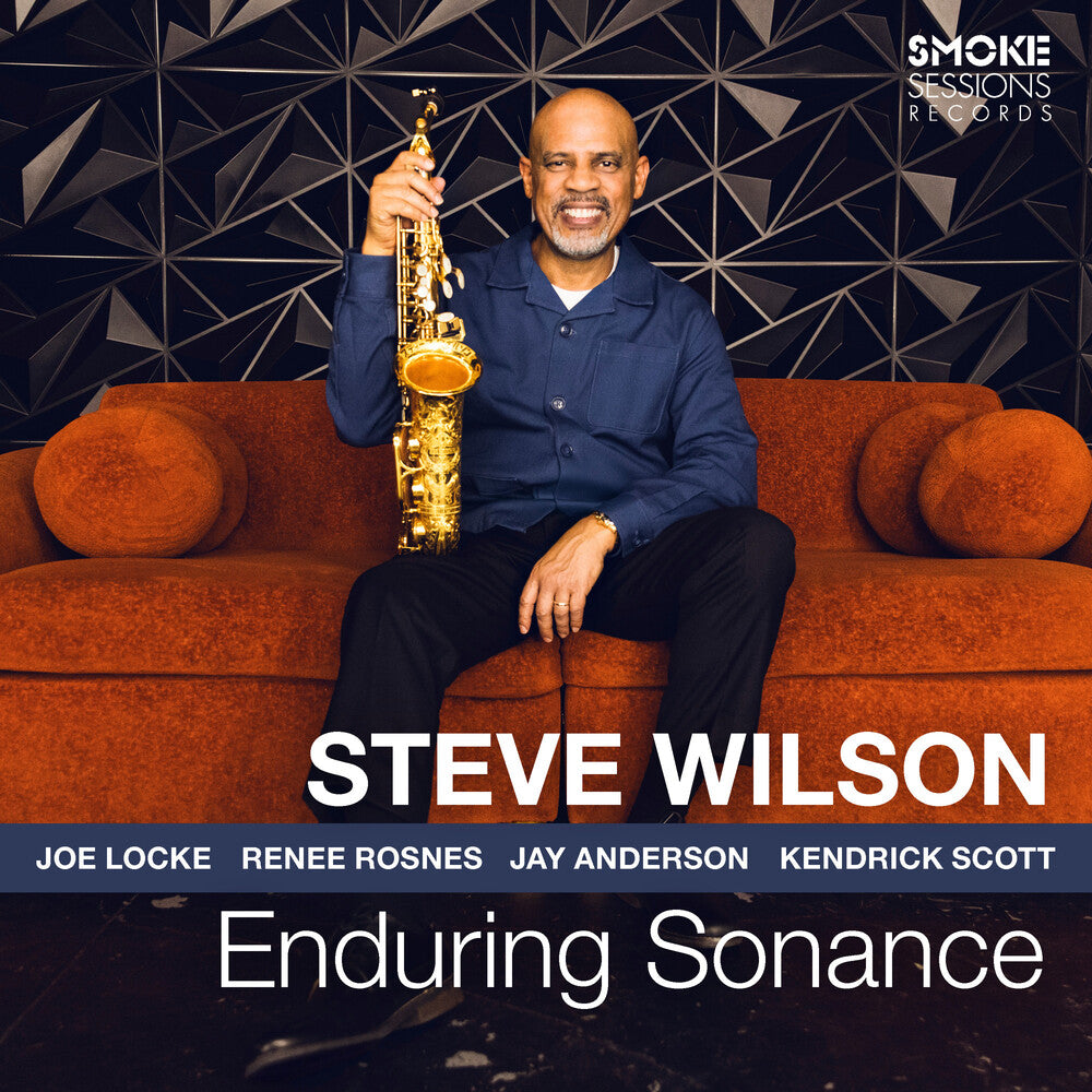 the album cover for Steve Wilson - Enduring Sonance