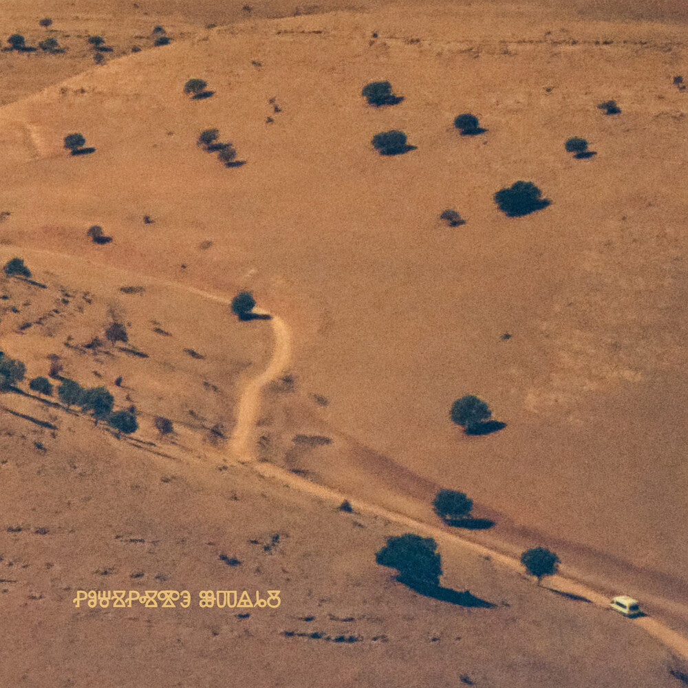 the album cover for Iztok Koren / Roginski,Raphael - Nocturnal Consolations