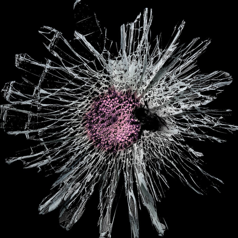 the album cover for Shadowlands - 004