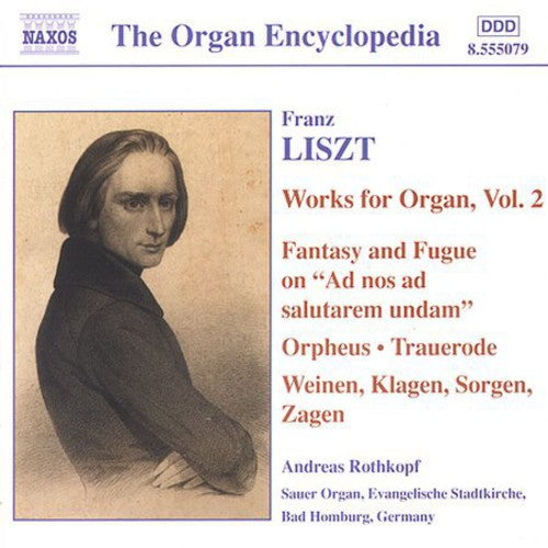 the album cover for Andreas Rothkopf - Works for Organ 2