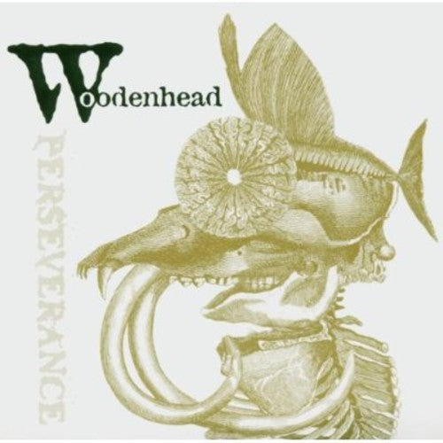 the album cover for Woodenhead - Perseverance