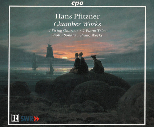 the album cover for F. SCHMIDT - Chamber Works