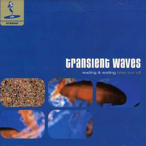 the album cover for Transient Waves - Wading & Waiting: Bliss Out Vol.8