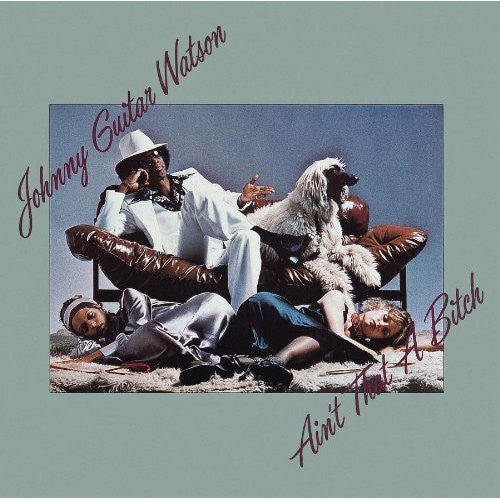 the album cover for Johnny 'Guitar' Watson - Ain't That a Bitch