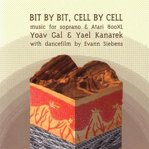 the album cover for Gal/Kanarek - Bit By Bit Cell By Cell