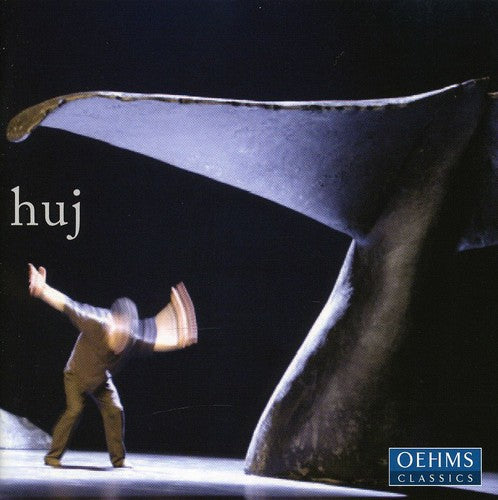 the album cover for Netzer - Huj