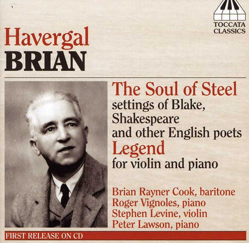 the album cover for Brian Rayner Cook - Soul of Steel