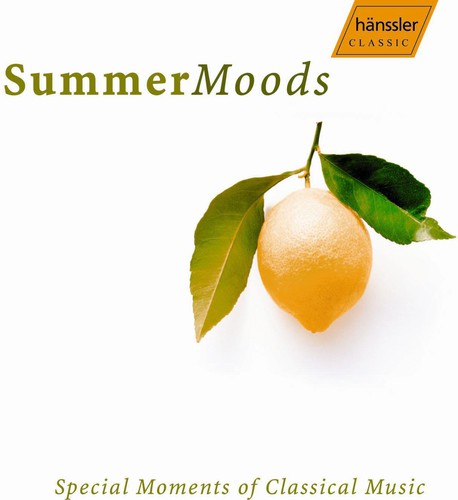 the album cover for Various Artists - Summer Moods / Various