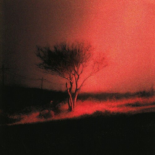 cover art for Joji - Piss In The Wind