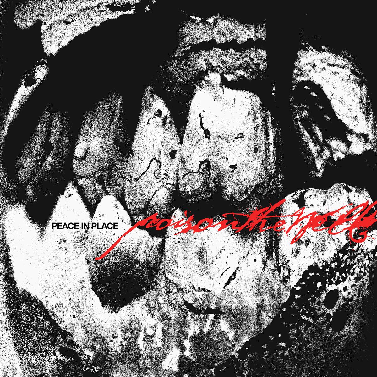 cover art for Poison The Well - Peace in Place