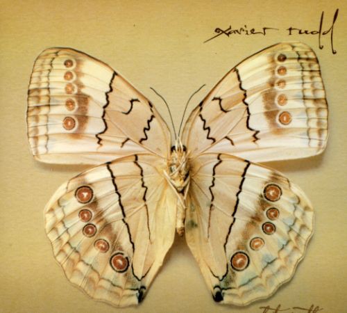 the album cover for Xavier Rudd - White Moth