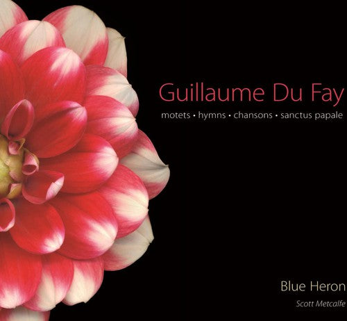 the album cover for Blue Heron - Motets Hymns Chansons Sanctus Papale