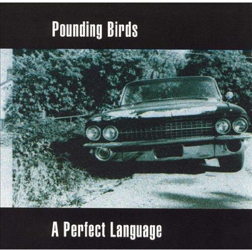 the album cover for Pounding Birds - Perfect Language