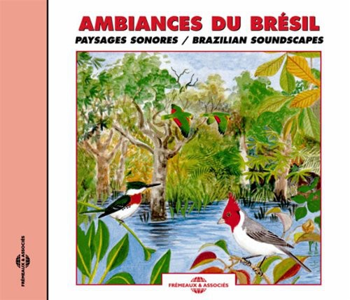 the album cover for Various Artists - Brazilian Soundscapes