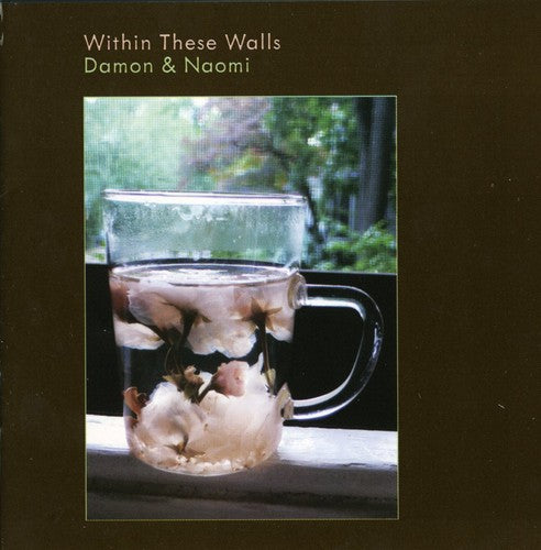 the album cover for Damon & Naomi - Within These Walls