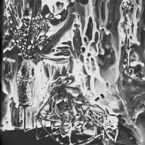 the album cover for Demons - Evocation