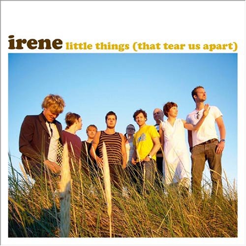 the album cover for Irene - Little Things That Tear Us Apart
