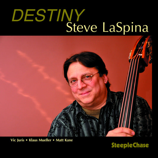 the album cover for Steve Laspina - Destiny