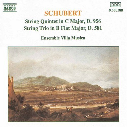 the album cover for Ensemble Villa Musica - String Quintet / String Trio