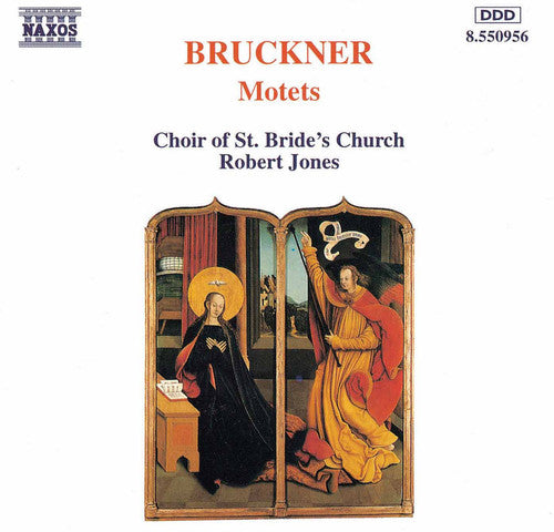 the album cover for Matthew Morley - Motets