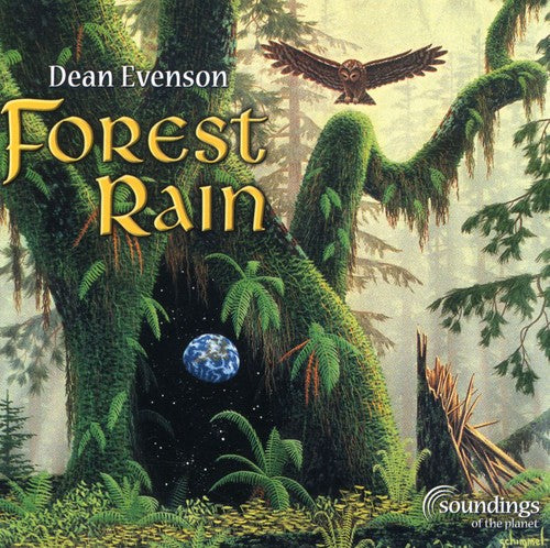 the album cover for Dean Evenson - Forest Rain