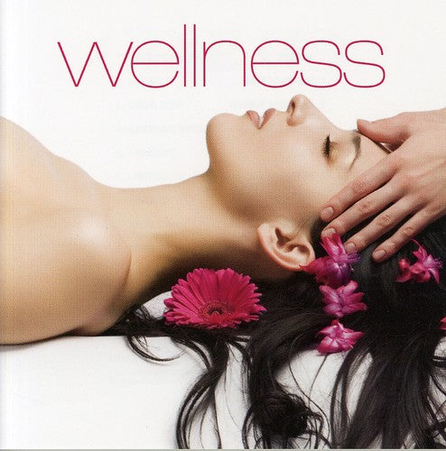 the album cover for Wellness - Wellness