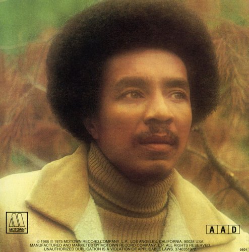 the album cover for Smokey Robinson - Quiet Storm