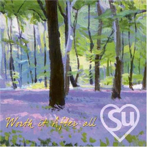 the album cover for Su Baka Beyond - Worth It After All