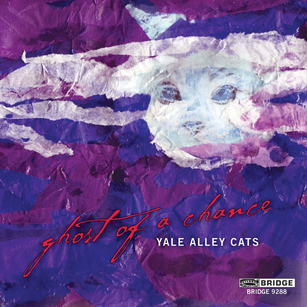 the album cover for The Yale Alley Cats - Ghost of a Chance