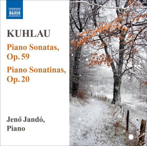the album cover for JenÅ‘ JandÃ³ - Piano Sonatas 1