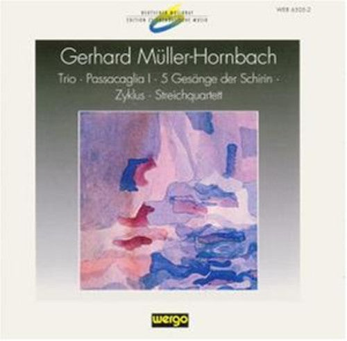 the album cover for Muller-Hornbach Trio - Passacaglia I / Various - Muller-hornbach: Trio - Passacaglia I / Various